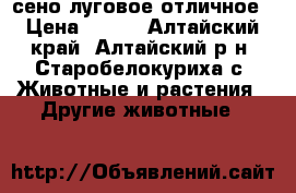 сено луговое отличное › Цена ­ 500 - Алтайский край, Алтайский р-н, Старобелокуриха с. Животные и растения » Другие животные   